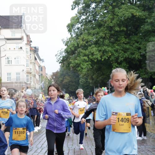 13.09.2026 - Kiel Lauf Yannick Fuchs http://msf.ph/oto/10282038 13.09.2026 08:55:59 Ziel 74, 76, 234, 547, 645, 808, 1249, 1581, 2711, 3358, 3409, 3454, 4755, 5259, 5289, 5297, 5547, 5781, 7816, 8527, 8619, 8960, 9792, 9930, 9935, 11376, 12138, 12557, 277, 329, 645, 1106, 1150, 1160, 1310, 1712, 1952, 2344, 2453, 2642, 2998, 3253, 4122, 4545, 4682, 4760, 4761, 4966, 5876, 5932, 6290, 7207, 7601, 7748, 7852, 7907, 7929, 9033, 9302, 9344, 10227, 10271, 10818, 11439, 11657, 12219, 12712, 669, 5823, 114, 7207, 7601, 7907, 12219 meine-sportfotos.de