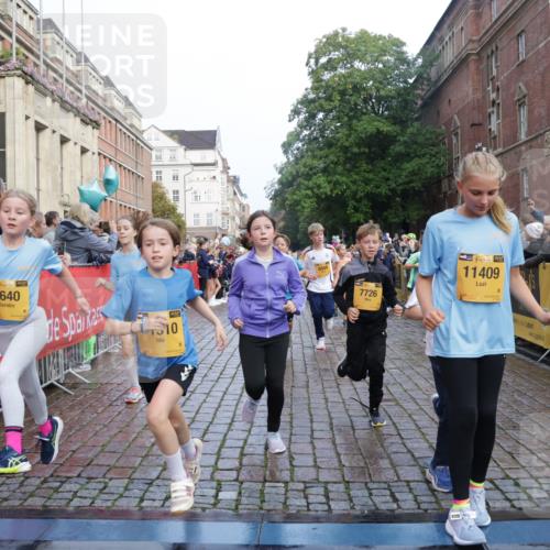 13.09.2026 - Kiel Lauf Yannick Fuchs http://msf.ph/oto/10282053 13.09.2026 08:56:00 Ziel 74, 76, 234, 547, 808, 1126, 1249, 1444, 1581, 2143, 2711, 3358, 3409, 3454, 4755, 5012, 5259, 5289, 5297, 5547, 5781, 7816, 8527, 8619, 8960, 9792, 9930, 9935, 11376, 12138, 12557, 277, 329, 645, 1150, 1160, 1249, 1310, 1712, 1952, 2344, 2453, 2642, 2998, 3253, 4122, 4545, 4682, 4966, 5876, 5932, 6290, 7207, 7601, 7748, 7852, 7907, 7929, 9033, 9302, 9344, 10227, 10271, 10818, 11439, 11657, 12219, 12712, 669, 3750, 4023, 5545, 5823, 329, 7207, 7601, 7907, 12219 meine-sportfotos.de