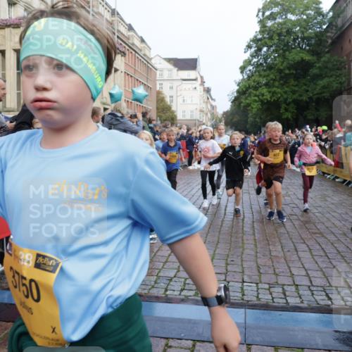 13.09.2026 - Kiel Lauf Yannick Fuchs http://msf.ph/oto/10282139 13.09.2026 08:56:05 Ziel 74, 76, 234, 547, 669, 808, 1126, 1444, 1581, 2143, 2197, 2711, 3179, 3350, 3409, 3454, 5012, 5259, 5759, 5781, 6212, 6232, 6738, 7155, 7489, 7816, 8527, 8619, 9792, 9930, 9935, 11376, 11995, 12138, 12557, 277, 645, 1150, 1160, 1249, 1310, 1712, 1952, 2344, 2453, 2642, 2998, 3253, 3358, 4122, 4545, 4682, 4755, 5289, 5297, 5547, 5876, 5932, 6290, 7748, 7929, 9033, 9302, 10227, 10271, 10818, 11439, 11657, 12712, 3750, 4023, 5545, 5823, 329, 7207, 7601, 7907, 12219 meine-sportfotos.de