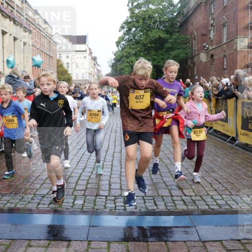 13.09.2026 - Kiel Lauf Yannick Fuchs http://msf.ph/oto/10282157 13.09.2026 08:56:06 Ziel 74, 76, 234, 547, 669, 808, 1126, 1444, 1581, 2143, 2197, 2711, 3179, 3350, 3409, 3454, 5012, 5259, 5759, 5781, 6212, 6232, 6738, 7155, 7489, 7816, 8527, 9374, 9930, 9935, 11376, 11995, 12138, 12242, 12557, 277, 645, 1150, 1160, 1249, 1310, 1712, 1952, 2344, 2453, 2998, 3253, 3358, 4122, 4545, 4682, 4755, 5289, 5297, 5547, 5781, 5876, 6290, 7748, 7929, 9033, 9302, 10227, 10271, 10818, 11439, 11657, 12712, 3750, 4023, 5545, 5823, 329, 7207, 7601, 7907, 12219 meine-sportfotos.de