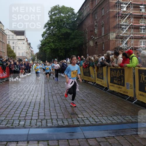 13.09.2026 - Kiel Lauf Yannick Fuchs http://msf.ph/oto/10282190 13.09.2026 08:56:08 Ziel 74, 76, 234, 669, 808, 1126, 1346, 1444, 1581, 2143, 2197, 2685, 2711, 3179, 3350, 3409, 3454, 5012, 5259, 5759, 6212, 6232, 6738, 7155, 7390, 7489, 7816, 8527, 9374, 9930, 9935, 10803, 11376, 11995, 12138, 12242, 12557, 277, 547, 645, 1150, 1160, 1249, 1310, 1712, 2453, 2711, 2998, 3253, 3358, 4122, 4545, 4682, 4755, 5289, 5297, 5547, 5781, 5876, 6290, 7748, 7929, 9033, 9302, 10227, 10271, 10818, 11439, 11657, 12712, 3750, 4023, 5545, 5823, 329, 7207, 7601, 7907, 12219 meine-sportfotos.de