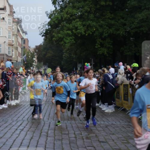13.09.2026 - Kiel Lauf Yannick Fuchs http://msf.ph/oto/10282196 13.09.2026 08:56:08 Ziel 74, 76, 234, 669, 808, 1126, 1346, 1444, 1581, 2143, 2197, 2685, 2711, 3179, 3350, 3409, 3454, 5012, 5259, 5759, 6212, 6232, 6738, 7155, 7390, 7489, 7816, 8527, 9374, 9930, 9935, 10803, 11376, 11995, 12138, 12242, 12557, 277, 547, 645, 1150, 1160, 1249, 1310, 1712, 2453, 2711, 2998, 3253, 3358, 4122, 4545, 4682, 4755, 5289, 5297, 5547, 5781, 5876, 6290, 7748, 7929, 9033, 9302, 10227, 10271, 10818, 11439, 11657, 12712, 3750, 4023, 5545, 5823, 329, 7207, 7601, 7907, 12219 meine-sportfotos.de