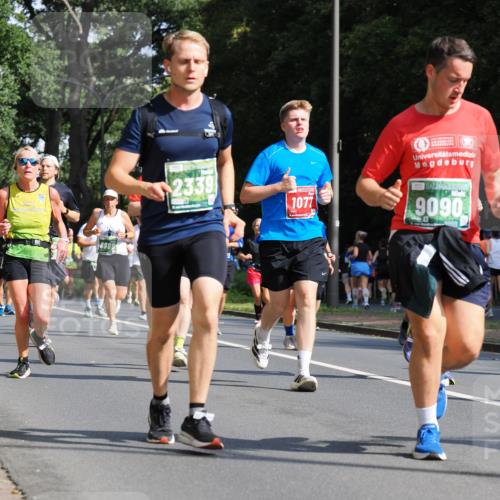 13.09.2026 - 21. swb-Marathon Bremen TobiasT http://msf.ph/oto/10282204 13.09.2026 12:00:12 Laufen 6886, 2339, 1077, 9090 meine-sportfotos.de