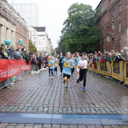 13.09.2026 - Kiel Lauf Yannick Fuchs http://msf.ph/oto/10282224 13.09.2026 08:56:10 Ziel 74, 76, 234, 669, 808, 1126, 1346, 1444, 1581, 2143, 2197, 2685, 3179, 3350, 3454, 5012, 5259, 5687, 5759, 6003, 6212, 6232, 6738, 7155, 7390, 7489, 8527, 9374, 9930, 9935, 10803, 11376, 11995, 12138, 12242, 12557, 277, 547, 645, 1150, 1160, 1249, 1310, 1712, 2453, 2711, 2998, 3253, 3358, 3409, 4122, 4545, 4682, 4755, 5289, 5297, 5547, 5781, 5876, 6290, 7748, 7929, 9033, 9302, 10227, 10271, 10818, 11439, 11657, 12712, 3750, 4023, 5545, 5823, 329 meine-sportfotos.de