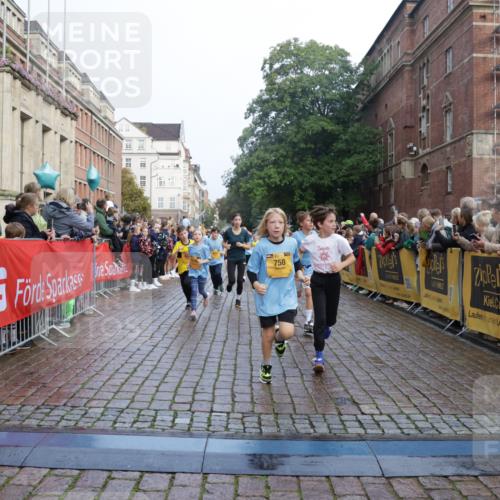 13.09.2026 - Kiel Lauf Yannick Fuchs http://msf.ph/oto/10282229 13.09.2026 08:56:10 Ziel 74, 76, 234, 669, 808, 1126, 1346, 1444, 1581, 2143, 2197, 2685, 3179, 3350, 3454, 5012, 5259, 5687, 5759, 6003, 6212, 6232, 6738, 7155, 7390, 7489, 8527, 9374, 9930, 9935, 10803, 11376, 11995, 12138, 12242, 12557, 277, 547, 645, 1150, 1160, 1249, 1310, 1712, 2453, 2711, 2998, 3253, 3358, 3409, 4122, 4545, 4682, 4755, 5289, 5297, 5547, 5781, 5876, 6290, 7748, 7929, 9033, 9302, 10227, 10271, 10818, 11439, 11657, 12712, 3750, 4023, 5545, 5823, 329 meine-sportfotos.de