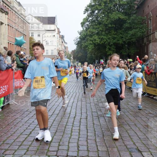 13.09.2026 - Kiel Lauf Yannick Fuchs http://msf.ph/oto/10282312 13.09.2026 08:56:15 Ziel 669, 1126, 1346, 1444, 2143, 2197, 2497, 2640, 2685, 3179, 3350, 3750, 4023, 4165, 5012, 5545, 5687, 5759, 5823, 6003, 6212, 6232, 6275, 6591, 6738, 7155, 7390, 7489, 7702, 7726, 7769, 8056, 8259, 8544, 8917, 9374, 10803, 11310, 11409, 11995, 12242, 74, 76, 234, 277, 547, 645, 808, 1126, 1150, 1160, 1249, 1310, 1444, 1581, 1712, 2143, 2711, 2998, 3253, 3358, 3409, 3454, 4545, 4682, 4755, 5012, 5259, 5289, 5297, 5547, 5781, 5876, 6290, 7748, 9033, 9302, 10227, 10818, 11439 meine-sportfotos.de