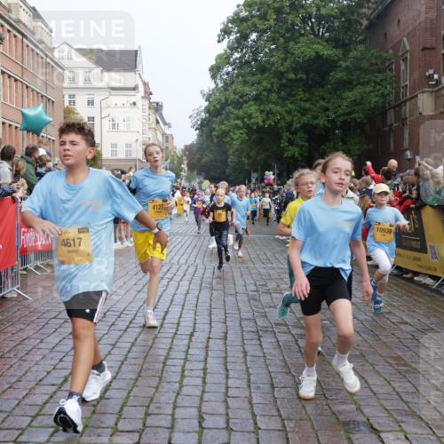 13.09.2026 - Kiel Lauf Yannick Fuchs http://msf.ph/oto/10282315 13.09.2026 08:56:15 Ziel 669, 1126, 1346, 1444, 2143, 2197, 2497, 2640, 2685, 3179, 3350, 3750, 4023, 4165, 5012, 5545, 5687, 5759, 5823, 6003, 6212, 6232, 6275, 6591, 6738, 7155, 7390, 7489, 7702, 7726, 7769, 8056, 8259, 8544, 8917, 9374, 10803, 11310, 11409, 11995, 12242, 74, 76, 234, 277, 547, 645, 808, 1126, 1150, 1160, 1249, 1310, 1444, 1581, 1712, 2143, 2711, 2998, 3253, 3358, 3409, 3454, 4545, 4682, 4755, 5012, 5259, 5289, 5297, 5547, 5781, 5876, 6290, 7748, 9033, 9302, 10227, 10818, 11439 meine-sportfotos.de