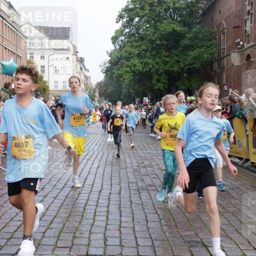 13.09.2026 - Kiel Lauf Yannick Fuchs http://msf.ph/oto/10282319 13.09.2026 08:56:15 Ziel 669, 1126, 1346, 1444, 2143, 2197, 2497, 2640, 2685, 3179, 3350, 3750, 4023, 4165, 5012, 5545, 5687, 5759, 5823, 6003, 6212, 6232, 6275, 6591, 6738, 7155, 7390, 7489, 7702, 7726, 7769, 8056, 8259, 8544, 8917, 9374, 10803, 11310, 11409, 11995, 12242, 74, 76, 234, 277, 547, 645, 808, 1126, 1150, 1160, 1249, 1310, 1444, 1581, 1712, 2143, 2711, 2998, 3253, 3358, 3409, 3454, 4545, 4682, 4755, 5012, 5259, 5289, 5297, 5547, 5781, 5876, 6290, 7748, 9033, 9302, 10227, 10818, 11439 meine-sportfotos.de
