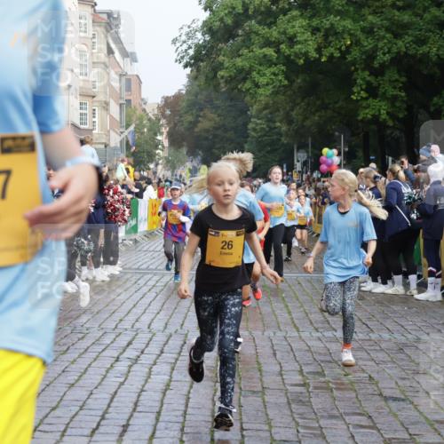 13.09.2026 - Kiel Lauf Yannick Fuchs http://msf.ph/oto/10282335 13.09.2026 08:56:16 Ziel 669, 1346, 2197, 2497, 2640, 2685, 3179, 3350, 3750, 4023, 4165, 5545, 5687, 5759, 5823, 6003, 6212, 6232, 6275, 6591, 6738, 7155, 7390, 7489, 7702, 7726, 7769, 8056, 8259, 8544, 8917, 9374, 10803, 11310, 11409, 11995, 12242, 74, 76, 234, 277, 547, 645, 808, 1126, 1150, 1160, 1249, 1310, 1444, 1581, 1712, 2143, 2711, 2998, 3253, 3358, 3409, 3454, 4545, 4682, 4755, 5012, 5259, 5289, 5297, 5547, 5781, 5876, 6290, 7748, 9033, 9302, 10818, 11439 meine-sportfotos.de