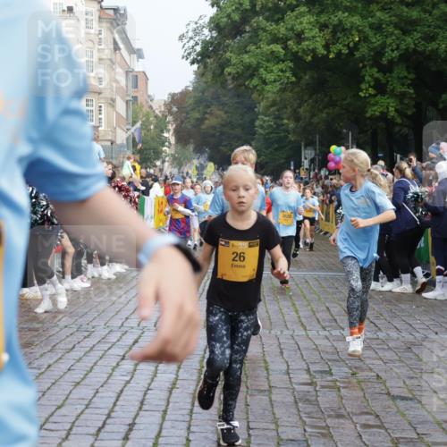 13.09.2026 - Kiel Lauf Yannick Fuchs http://msf.ph/oto/10282339 13.09.2026 08:56:17 Ziel 407, 669, 759, 1346, 2197, 2497, 2640, 2685, 3179, 3350, 3750, 4023, 4165, 5459, 5545, 5687, 5759, 5823, 6003, 6212, 6232, 6275, 6371, 6591, 6738, 7390, 7489, 7702, 7726, 7769, 8056, 8259, 8544, 8917, 9374, 9957, 10610, 10803, 11310, 11409, 12242, 74, 76, 234, 277, 547, 645, 808, 1126, 1150, 1160, 1249, 1310, 1444, 1581, 1712, 2143, 2197, 2711, 2998, 3253, 3358, 3409, 3454, 4545, 4682, 4755, 5012, 5259, 5289, 5297, 5547, 5781, 5876, 6290, 9033, 9302, 10818, 11439 meine-sportfotos.de