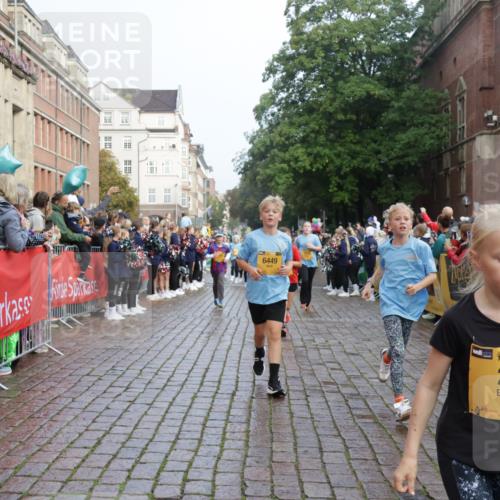 13.09.2026 - Kiel Lauf Yannick Fuchs http://msf.ph/oto/10282358 13.09.2026 08:56:18 Ziel 407, 470, 669, 759, 1009, 1346, 2173, 2497, 2640, 2685, 3179, 3350, 3750, 4023, 4165, 4602, 5459, 5545, 5687, 5759, 5823, 6003, 6212, 6232, 6275, 6371, 6591, 6738, 7390, 7489, 7702, 7726, 7769, 8056, 8259, 8544, 8784, 8917, 9374, 9957, 10610, 10803, 11310, 11409, 12242, 74, 76, 234, 277, 547, 645, 808, 1126, 1150, 1160, 1249, 1310, 1444, 1581, 1712, 2143, 2197, 2711, 3253, 3358, 3409, 3454, 4545, 4682, 4755, 5012, 5259, 5289, 5297, 5547, 5781, 5876, 6232, 6290, 9302, 10818 meine-sportfotos.de