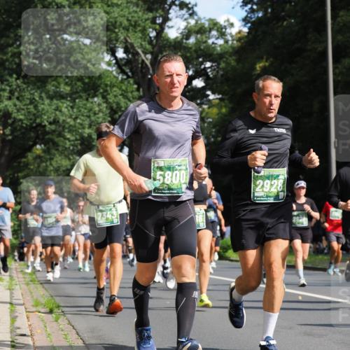 13.09.2026 - 21. swb-Marathon Bremen TobiasT http://msf.ph/oto/10282478 13.09.2026 12:01:50 Laufen 5800, 21, 2928 meine-sportfotos.de