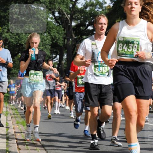 13.09.2026 - 21. swb-Marathon Bremen TobiasT http://msf.ph/oto/10282494 13.09.2026 12:02:00 Laufen 6890, 67, 930, 400, 9810, 6439123, 2, 26 meine-sportfotos.de