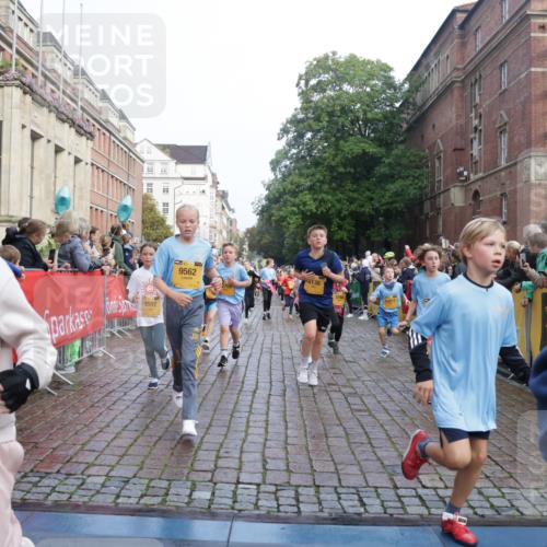 13.09.2026 - Kiel Lauf Yannick Fuchs http://msf.ph/oto/10282498 13.09.2026 08:56:26 Ziel 407, 470, 582, 758, 759, 1009, 1950, 2173, 2497, 2640, 2719, 3078, 3750, 4023, 4165, 4537, 4602, 5315, 5459, 5545, 5823, 6275, 6371, 6591, 7702, 7726, 7769, 7865, 7866, 8056, 8259, 8544, 8719, 8784, 8917, 9021, 9957, 10610, 11310, 11409, 11795, 12032, 74, 76, 234, 547, 669, 808, 1126, 1346, 1444, 1581, 2143, 2197, 2685, 2711, 3179, 3350, 3358, 3409, 3454, 4755, 5012, 5259, 5289, 5297, 5547, 5687, 5759, 5781, 6003, 6212, 6232, 7390, 9374 meine-sportfotos.de