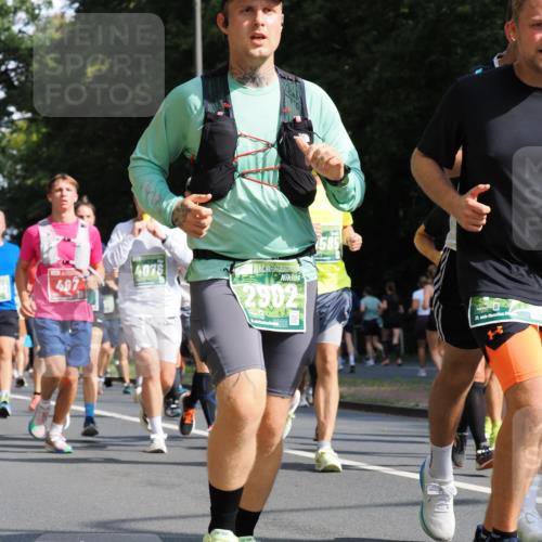 13.09.2026 - 21. swb-Marathon Bremen TobiasT http://msf.ph/oto/10282680 13.09.2026 12:02:34 Laufen 497, 4076, 2982, 21 meine-sportfotos.de
