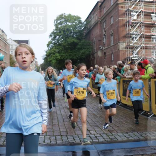 13.09.2026 - Kiel Lauf Yannick Fuchs http://msf.ph/oto/10282717 13.09.2026 08:56:36 Ziel 26, 582, 758, 899, 1137, 1285, 1340, 1950, 3078, 3520, 3930, 4127, 4128, 4188, 4228, 4617, 5097, 5315, 6449, 7865, 7866, 8160, 8719, 8785, 9021, 9176, 9626, 10091, 10612, 10939, 11795, 12032, 74, 76, 234, 407, 470, 669, 759, 808, 1009, 1126, 1346, 1444, 1581, 2143, 2173, 2197, 2497, 2640, 2685, 2719, 3179, 3350, 3454, 3750, 4023, 4165, 5012, 5259, 5687, 5759, 6003, 6212, 6232, 7390, 9374, 81, 482, 653, 1222, 2479, 2543, 74, 5781 meine-sportfotos.de