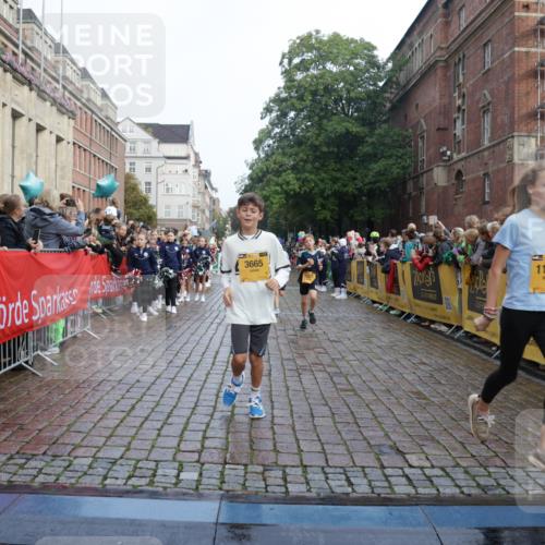 13.09.2026 - Kiel Lauf Yannick Fuchs http://msf.ph/oto/10282831 13.09.2026 08:56:46 Ziel 139, 653, 899, 1222, 1285, 1340, 1544, 2478, 3303, 3520, 3740, 4136, 4188, 4228, 4680, 4925, 5097, 5180, 5333, 5597, 6449, 6903, 8094, 8270, 8424, 8785, 9156, 9176, 9292, 9562, 9826, 10042, 10091, 10213, 11627, 11978, 12220, 12333, 12700, 26, 407, 470, 582, 758, 759, 1009, 1137, 1346, 1950, 2173, 2497, 2640, 2685, 2719, 3078, 3750, 3930, 4023, 4127, 4128, 4165, 5687, 6003, 7390, 9374, 81, 482, 2479, 2543, 3034, 3179, 6232, 7489 meine-sportfotos.de