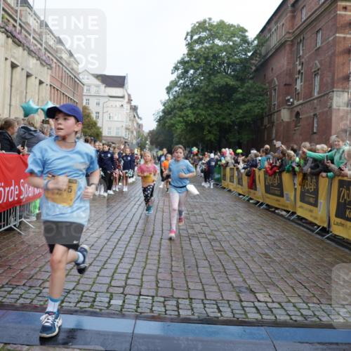 13.09.2026 - Kiel Lauf Yannick Fuchs http://msf.ph/oto/10282866 13.09.2026 08:56:49 Ziel 139, 482, 653, 899, 1222, 1285, 1340, 1544, 2478, 2479, 2543, 3303, 3740, 4136, 4228, 4558, 4680, 4901, 4925, 5097, 5180, 5223, 5333, 5597, 6807, 6903, 7559, 7927, 8094, 8270, 8424, 9156, 9176, 9292, 9307, 9562, 9826, 10042, 10213, 10603, 11627, 11978, 11986, 12062, 12154, 12220, 12333, 12700, 26, 407, 470, 582, 758, 759, 1009, 1137, 1285, 1950, 2173, 2497, 2640, 2719, 3078, 3520, 3750, 3930, 4023, 4127, 4128, 4165, 4188, 5687, 6003, 81, 3034, 3179, 6232, 7489 meine-sportfotos.de