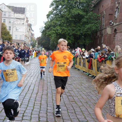 13.09.2026 - Kiel Lauf Yannick Fuchs http://msf.ph/oto/10282871 13.09.2026 08:56:52 Ziel 81, 139, 482, 653, 1222, 1544, 2478, 2479, 2543, 3034, 3161, 3303, 3305, 3740, 4136, 4558, 4680, 4901, 4925, 5180, 5223, 5333, 5597, 6361, 6807, 6903, 7559, 7927, 8094, 8270, 8424, 9156, 9292, 9307, 9562, 9564, 9826, 9940, 10042, 10213, 10603, 11423, 11627, 11978, 11986, 12062, 12154, 12220, 12333, 12350, 12522, 12700, 26, 139, 407, 470, 582, 758, 759, 899, 1009, 1137, 1285, 1340, 1544, 1950, 2173, 2497, 2640, 2719, 3078, 3520, 3750, 3930, 4023, 4127, 4128, 4165, 4188, 4228 meine-sportfotos.de