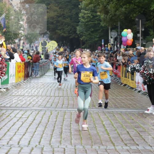 13.09.2026 - Kiel Lauf Yannick Fuchs http://msf.ph/oto/10282934 13.09.2026 08:56:57 Ziel 81, 482, 653, 1222, 2384, 2479, 2543, 3034, 3161, 3305, 4558, 4680, 4901, 4908, 4925, 5223, 5333, 6361, 6807, 6903, 7559, 7752, 7927, 8094, 8424, 9156, 9307, 9564, 9826, 9940, 10042, 10603, 11423, 11495, 11558, 11986, 12062, 12154, 12350, 12455, 12522, 26, 139, 407, 470, 582, 758, 759, 899, 1009, 1137, 1285, 1340, 1544, 1950, 2173, 2478, 2719, 3078, 3303, 3520, 3740, 3930, 4127, 4128, 4136, 4188, 4228, 4925, 5597, 8270, 9292, 9562, 10213, 11627, 470 meine-sportfotos.de