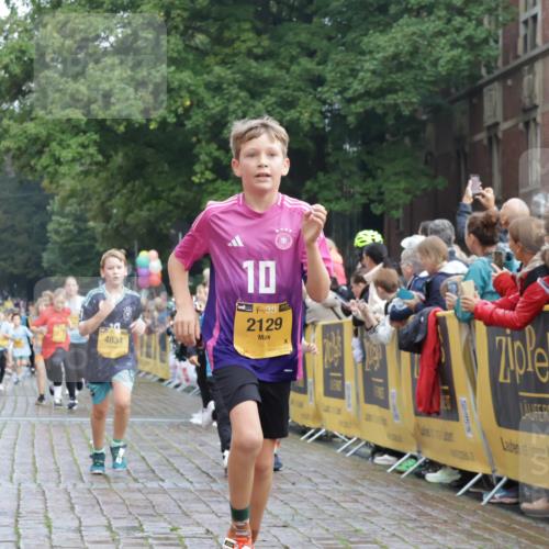 13.09.2026 - Kiel Lauf Yannick Fuchs http://msf.ph/oto/10282960 13.09.2026 08:57:06 Ziel 2384, 3034, 3305, 3665, 4908, 5003, 5340, 5719, 5809, 6361, 7752, 8341, 9542, 9564, 9940, 11423, 11495, 11558, 12215, 12350, 12455, 12512, 12522, 26, 81, 139, 482, 653, 899, 1137, 1222, 1285, 1340, 1544, 2478, 2479, 2543, 3161, 3303, 3520, 3740, 3930, 4127, 4128, 4136, 4188, 4228, 4558, 4680, 4901, 4925, 5223, 5333, 5597, 6807, 6903, 7559, 7927, 8094, 8270, 8424, 9156, 9292, 9307, 9562, 9826, 9940, 10042, 10213, 10603, 11627, 11986, 12062 meine-sportfotos.de