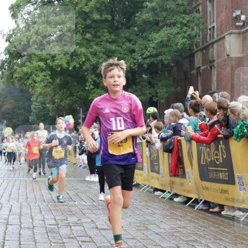 13.09.2026 - Kiel Lauf Yannick Fuchs http://msf.ph/oto/10282964 13.09.2026 08:57:06 Ziel 2384, 3034, 3305, 3665, 4908, 5003, 5340, 5719, 5809, 6361, 7752, 8341, 9542, 9564, 9940, 11423, 11495, 11558, 12215, 12350, 12455, 12512, 12522, 26, 81, 139, 482, 653, 899, 1137, 1222, 1285, 1340, 1544, 2478, 2479, 2543, 3161, 3303, 3520, 3740, 3930, 4127, 4128, 4136, 4188, 4228, 4558, 4680, 4901, 4925, 5223, 5333, 5597, 6807, 6903, 7559, 7927, 8094, 8270, 8424, 9156, 9292, 9307, 9562, 9826, 9940, 10042, 10213, 10603, 11627, 11986, 12062 meine-sportfotos.de