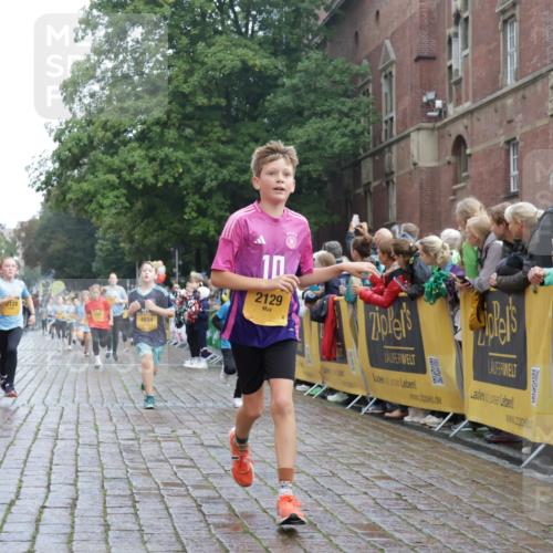 13.09.2026 - Kiel Lauf Yannick Fuchs http://msf.ph/oto/10282972 13.09.2026 08:57:06 Ziel 2384, 3034, 3305, 3665, 4908, 5003, 5340, 5719, 5809, 6361, 7752, 8341, 9542, 9564, 9940, 11423, 11495, 11558, 12215, 12350, 12455, 12512, 12522, 26, 81, 139, 482, 653, 899, 1137, 1222, 1285, 1340, 1544, 2478, 2479, 2543, 3161, 3303, 3520, 3740, 3930, 4127, 4128, 4136, 4188, 4228, 4558, 4680, 4901, 4925, 5223, 5333, 5597, 6807, 6903, 7559, 7927, 8094, 8270, 8424, 9156, 9292, 9307, 9562, 9826, 9940, 10042, 10213, 10603, 11627, 11986, 12062 meine-sportfotos.de