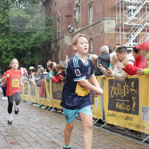 13.09.2026 - Kiel Lauf Yannick Fuchs http://msf.ph/oto/10283026 13.09.2026 08:57:10 Ziel 2384, 3665, 4908, 5003, 5340, 5719, 5809, 7752, 8341, 9542, 10321, 11495, 11558, 12215, 12455, 12512, 81, 139, 482, 653, 899, 1222, 1285, 1340, 1544, 2478, 2479, 2543, 3034, 3161, 3303, 3305, 3520, 3740, 4136, 4188, 4228, 4558, 4680, 4901, 4908, 4925, 5223, 5333, 5597, 6361, 6807, 6903, 7559, 7927, 8094, 8270, 8424, 9156, 9292, 9307, 9562, 9564, 9826, 9940, 10042, 10213, 10603, 11423, 11495, 11627, 11986, 12062, 1546, 1769, 5984, 7715, 3520, 4188 meine-sportfotos.de