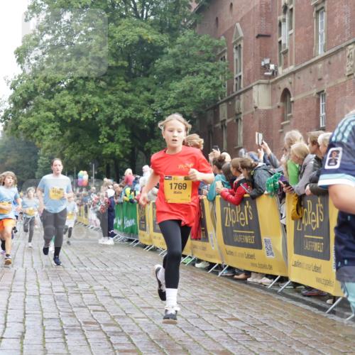 13.09.2026 - Kiel Lauf Yannick Fuchs http://msf.ph/oto/10283030 13.09.2026 08:57:10 Ziel 2384, 3665, 4908, 5003, 5340, 5719, 5809, 7752, 8341, 9542, 10321, 11495, 11558, 12215, 12455, 12512, 81, 139, 482, 653, 899, 1222, 1285, 1340, 1544, 2478, 2479, 2543, 3034, 3161, 3303, 3305, 3520, 3740, 4136, 4188, 4228, 4558, 4680, 4901, 4908, 4925, 5223, 5333, 5597, 6361, 6807, 6903, 7559, 7927, 8094, 8270, 8424, 9156, 9292, 9307, 9562, 9564, 9826, 9940, 10042, 10213, 10603, 11423, 11495, 11627, 11986, 12062, 1546, 1769, 5984, 7715, 3520, 4188 meine-sportfotos.de