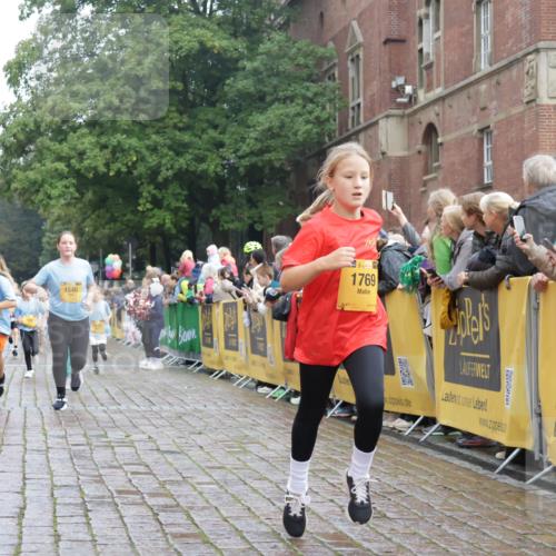 13.09.2026 - Kiel Lauf Yannick Fuchs http://msf.ph/oto/10283039 13.09.2026 08:57:11 Ziel 2384, 3665, 5003, 5340, 5719, 5809, 7752, 8341, 9542, 10321, 11558, 12215, 12455, 12512, 81, 139, 482, 653, 899, 1222, 1285, 1340, 1544, 2384, 2478, 2479, 2543, 3034, 3161, 3303, 3305, 3520, 3740, 4136, 4188, 4228, 4558, 4680, 4901, 4908, 4925, 5223, 5333, 5597, 6361, 6807, 6903, 7559, 7752, 7927, 8094, 8270, 8424, 9156, 9292, 9307, 9562, 9564, 9826, 9940, 10042, 10213, 10603, 11423, 11495, 11627, 11986, 12062, 1546, 1769, 5984, 7715, 1285, 3520, 4188 meine-sportfotos.de