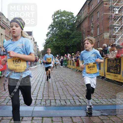 13.09.2026 - Kiel Lauf Yannick Fuchs http://msf.ph/oto/10283143 13.09.2026 08:57:16 Ziel 3382, 5003, 5719, 5809, 8341, 9542, 10321, 10892, 12512, 81, 139, 482, 653, 1222, 1340, 1544, 2384, 2478, 2479, 2543, 3034, 3161, 3303, 3305, 3665, 3740, 4136, 4558, 4680, 4901, 4908, 4925, 5223, 5333, 5340, 5597, 5719, 6361, 6807, 6903, 7559, 7752, 7927, 8094, 8270, 8424, 9156, 9292, 9307, 9562, 9564, 9826, 9940, 10042, 10213, 10603, 11423, 11495, 11558, 11627, 11986, 12062, 12215, 12455, 160, 406, 1546, 1769, 5006, 5984, 6459, 7715, 9062, 1285, 3520, 4188 meine-sportfotos.de