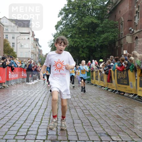 13.09.2026 - Kiel Lauf Yannick Fuchs http://msf.ph/oto/10283170 13.09.2026 08:57:18 Ziel 3382, 5809, 8341, 9542, 10321, 10892, 12512, 81, 482, 653, 1222, 2384, 2478, 2479, 2543, 3034, 3161, 3303, 3305, 3665, 3740, 4136, 4558, 4680, 4901, 4908, 4925, 5003, 5223, 5333, 5340, 5597, 5719, 6361, 6807, 6903, 7559, 7752, 7927, 8094, 8270, 8341, 8424, 9156, 9292, 9307, 9562, 9564, 9826, 9940, 10042, 10213, 10603, 11423, 11495, 11558, 11627, 11986, 12062, 12215, 12455, 160, 406, 1051, 1546, 1769, 5006, 5984, 6459, 7715, 9062, 1285, 3520, 4188 meine-sportfotos.de