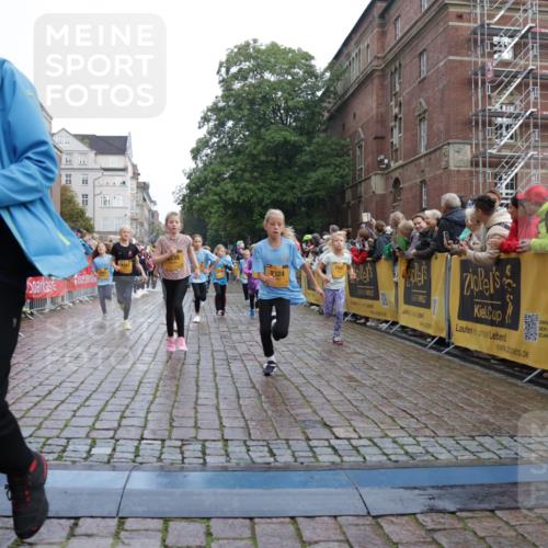 13.09.2026 - Kiel Lauf Yannick Fuchs http://msf.ph/oto/10283217 13.09.2026 08:57:21 Ziel 700, 2128, 2129, 3382, 7478, 10321, 10892, 12512, 81, 482, 653, 1222, 2384, 2479, 2543, 3034, 3161, 3305, 3665, 4558, 4680, 4901, 4908, 4925, 5003, 5223, 5333, 5340, 5719, 5809, 6361, 6807, 6903, 7559, 7752, 7927, 8094, 8341, 8424, 9156, 9292, 9307, 9542, 9564, 9826, 9940, 10042, 10603, 11423, 11495, 11558, 11986, 12062, 12215, 12455, 12512, 160, 406, 689, 1051, 1546, 1714, 1769, 2439, 4382, 4383, 5006, 5244, 5762, 5765, 5984, 6459, 7547, 7608, 7715, 9062, 1285 meine-sportfotos.de