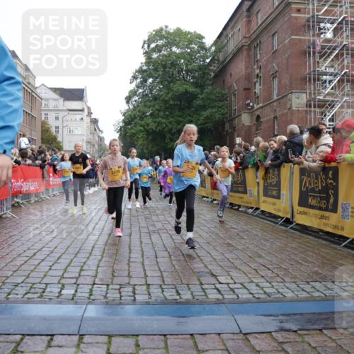 13.09.2026 - Kiel Lauf Yannick Fuchs http://msf.ph/oto/10283220 13.09.2026 08:57:21 Ziel 700, 2128, 2129, 3382, 7478, 10321, 10892, 12512, 81, 482, 653, 1222, 2384, 2479, 2543, 3034, 3161, 3305, 3665, 4558, 4680, 4901, 4908, 4925, 5003, 5223, 5333, 5340, 5719, 5809, 6361, 6807, 6903, 7559, 7752, 7927, 8094, 8341, 8424, 9156, 9292, 9307, 9542, 9564, 9826, 9940, 10042, 10603, 11423, 11495, 11558, 11986, 12062, 12215, 12455, 12512, 160, 406, 689, 1051, 1546, 1714, 1769, 2439, 4382, 4383, 5006, 5244, 5762, 5765, 5984, 6459, 7547, 7608, 7715, 9062, 1285 meine-sportfotos.de
