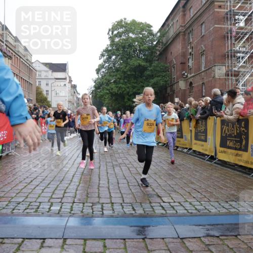 13.09.2026 - Kiel Lauf Yannick Fuchs http://msf.ph/oto/10283225 13.09.2026 08:57:22 Ziel 700, 2128, 2129, 3382, 4834, 7478, 10321, 10892, 81, 482, 653, 1222, 2384, 2479, 2543, 3034, 3161, 3305, 3665, 4558, 4680, 4901, 4908, 4925, 5003, 5223, 5333, 5340, 5719, 5809, 6361, 6807, 6903, 7559, 7752, 7927, 8094, 8341, 8424, 9156, 9307, 9542, 9564, 9826, 9940, 10042, 10321, 10603, 11423, 11495, 11558, 11986, 12062, 12215, 12455, 12512, 160, 406, 689, 1051, 1546, 1714, 1769, 2439, 3359, 4321, 4382, 4383, 5006, 5219, 5244, 5762, 5765, 5984, 6459, 7547, 7608, 7715, 9062 meine-sportfotos.de