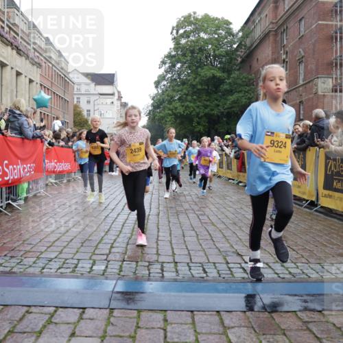 13.09.2026 - Kiel Lauf Yannick Fuchs http://msf.ph/oto/10283238 13.09.2026 08:57:22 Ziel 700, 2128, 2129, 3382, 4834, 7478, 10321, 10892, 81, 482, 653, 1222, 2384, 2479, 2543, 3034, 3161, 3305, 3665, 4558, 4680, 4901, 4908, 4925, 5003, 5223, 5333, 5340, 5719, 5809, 6361, 6807, 6903, 7559, 7752, 7927, 8094, 8341, 8424, 9156, 9307, 9542, 9564, 9826, 9940, 10042, 10321, 10603, 11423, 11495, 11558, 11986, 12062, 12215, 12455, 12512, 160, 406, 689, 1051, 1546, 1714, 1769, 2439, 3359, 4321, 4382, 4383, 5006, 5219, 5244, 5762, 5765, 5984, 6459, 7547, 7608, 7715, 9062 meine-sportfotos.de
