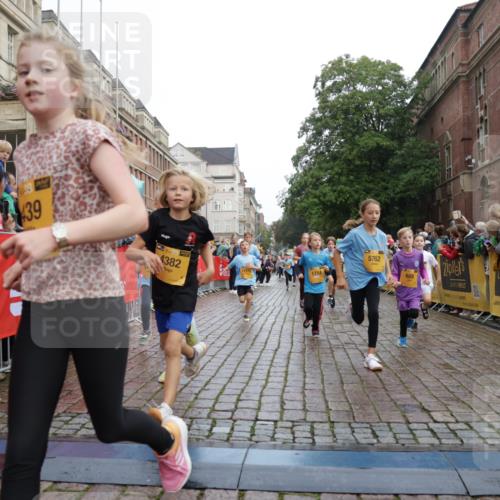 13.09.2026 - Kiel Lauf Yannick Fuchs http://msf.ph/oto/10283250 13.09.2026 08:57:23 Ziel 700, 1769, 2128, 2129, 3382, 4834, 7478, 10892, 81, 482, 653, 1222, 2384, 2479, 2543, 3034, 3161, 3305, 3665, 4558, 4680, 4901, 4908, 5003, 5223, 5333, 5340, 5719, 5809, 6361, 6807, 6903, 7559, 7752, 7927, 8094, 8341, 8424, 9156, 9307, 9542, 9564, 9826, 9940, 10042, 10321, 10603, 11423, 11495, 11558, 11986, 12062, 12215, 12455, 12512, 160, 406, 689, 1051, 1546, 1714, 2439, 3359, 3375, 4321, 4382, 4383, 5006, 5219, 5244, 5762, 5765, 5984, 6459, 7547, 7608, 7609, 7715, 9062 meine-sportfotos.de