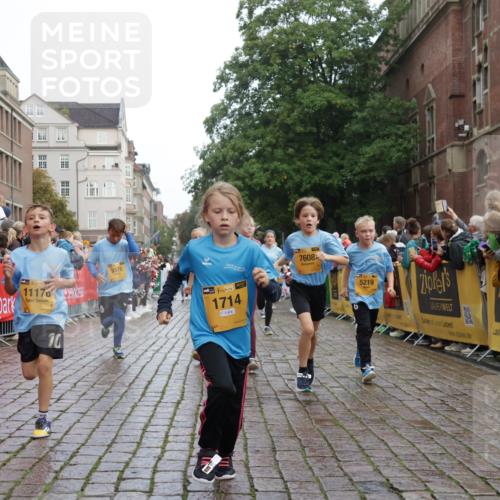 13.09.2026 - Kiel Lauf Yannick Fuchs http://msf.ph/oto/10283270 13.09.2026 08:57:24 Ziel 700, 1769, 2128, 2129, 3382, 4834, 7478, 10892, 81, 482, 653, 1222, 2384, 2479, 2543, 3034, 3161, 3305, 3665, 4558, 4680, 4901, 4908, 5003, 5223, 5333, 5340, 5719, 5809, 6361, 6807, 7559, 7752, 7927, 8094, 8341, 8424, 9156, 9307, 9542, 9564, 9826, 9940, 10042, 10321, 10603, 11423, 11495, 11558, 11986, 12062, 12215, 12455, 12512, 160, 406, 689, 1051, 1546, 1714, 2439, 3359, 3375, 4182, 4321, 4382, 4383, 5006, 5219, 5244, 5762, 5765, 5984, 6459, 7547, 7608, 7609, 7715, 9062 meine-sportfotos.de