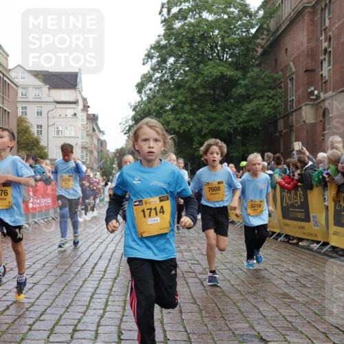 13.09.2026 - Kiel Lauf Yannick Fuchs http://msf.ph/oto/10283276 13.09.2026 08:57:24 Ziel 700, 1769, 2128, 2129, 3382, 4834, 7478, 10892, 81, 482, 653, 1222, 2384, 2479, 2543, 3034, 3161, 3305, 3665, 4558, 4680, 4901, 4908, 5003, 5223, 5333, 5340, 5719, 5809, 6361, 6807, 7559, 7752, 7927, 8094, 8341, 8424, 9156, 9307, 9542, 9564, 9826, 9940, 10042, 10321, 10603, 11423, 11495, 11558, 11986, 12062, 12215, 12455, 12512, 160, 406, 689, 1051, 1546, 1714, 2439, 3359, 3375, 4182, 4321, 4382, 4383, 5006, 5219, 5244, 5762, 5765, 5984, 6459, 7547, 7608, 7609, 7715, 9062 meine-sportfotos.de