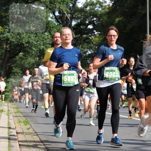 13.09.2026 - 21. swb-Marathon Bremen TobiasT http://msf.ph/oto/10283627 13.09.2026 12:05:49 Laufen 1259, 5692, 21, 26, 8002 meine-sportfotos.de