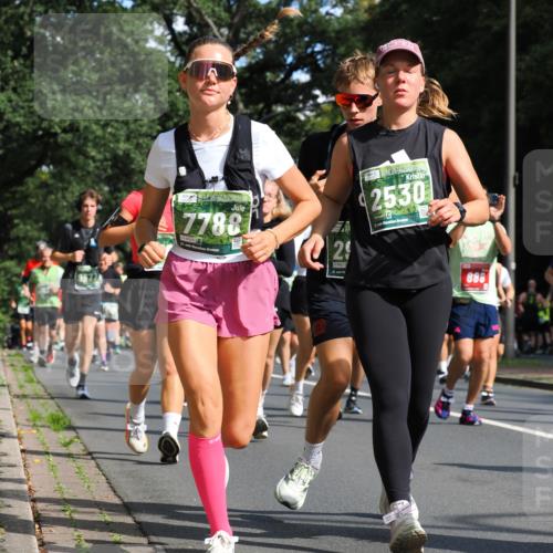 13.09.2026 - 21. swb-Marathon Bremen TobiasT http://msf.ph/oto/10283777 13.09.2026 12:06:24 Laufen 7788, 9020, 21, 29, 9021, 21, 2530, 2, 26, 888 meine-sportfotos.de