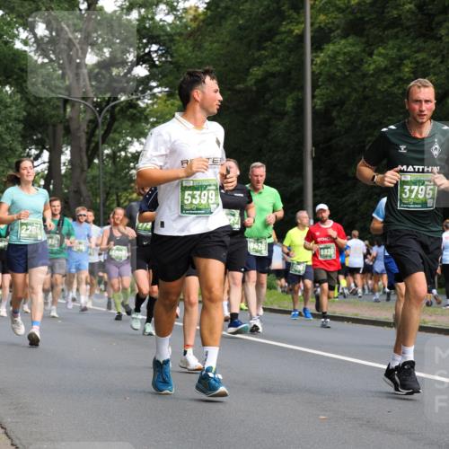 13.09.2026 - 21. swb-Marathon Bremen TobiasT http://msf.ph/oto/10284399 13.09.2026 12:08:55 Laufen 2294, 834, 5399, 21, 26, 9820, 3795 meine-sportfotos.de
