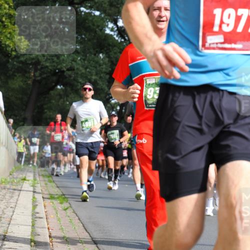 13.09.2026 - 21. swb-Marathon Bremen TobiasT http://msf.ph/oto/10284496 13.09.2026 12:09:14 Laufen 4991, 93, 21, 1972 meine-sportfotos.de