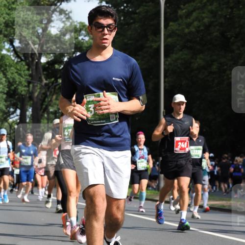 13.09.2026 - 21. swb-Marathon Bremen TobiasT http://msf.ph/oto/10284553 13.09.2026 12:09:29 Laufen 249, 13228 meine-sportfotos.de