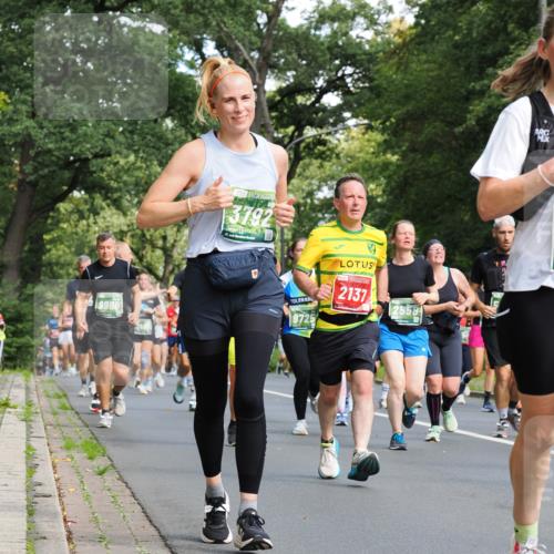 13.09.2026 - 21. swb-Marathon Bremen TobiasT http://msf.ph/oto/10284729 13.09.2026 12:10:12 Laufen 9960, 3792, 9725, 2137, 2558 meine-sportfotos.de