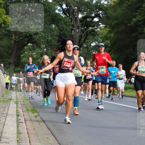 13.09.2026 - 21. swb-Marathon Bremen TobiasT http://msf.ph/oto/10284782 13.09.2026 12:10:24 Laufen 420, 638, 3898, 13, 1703, 13079, 3185, 798, 7897 meine-sportfotos.de