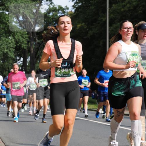 13.09.2026 - 21. swb-Marathon Bremen TobiasT http://msf.ph/oto/10285017 13.09.2026 12:10:56 Laufen 5609, 2304, 21, 26, 3040 meine-sportfotos.de