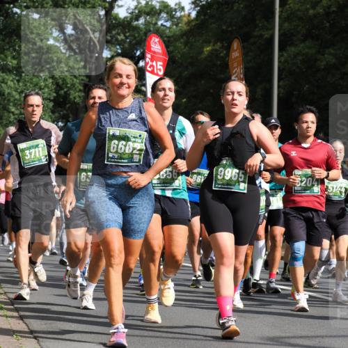13.09.2026 - 21. swb-Marathon Bremen TobiasT http://msf.ph/oto/10285144 13.09.2026 12:11:14 Laufen 3711, 63, 6682, 21, 2, 15, 215, 656, 9965, 204, 5144 meine-sportfotos.de