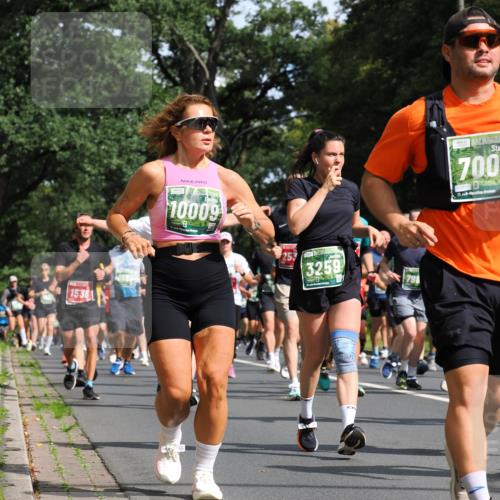 13.09.2026 - 21. swb-Marathon Bremen TobiasT http://msf.ph/oto/10285291 13.09.2026 12:11:53 Laufen 1536, 10009, 1, 3259, 798, 700, 21 meine-sportfotos.de