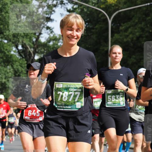 13.09.2026 - 21. swb-Marathon Bremen TobiasT http://msf.ph/oto/10285336 13.09.2026 12:12:05 Laufen 645, 7877, 21, 26, 5635, 48 meine-sportfotos.de
